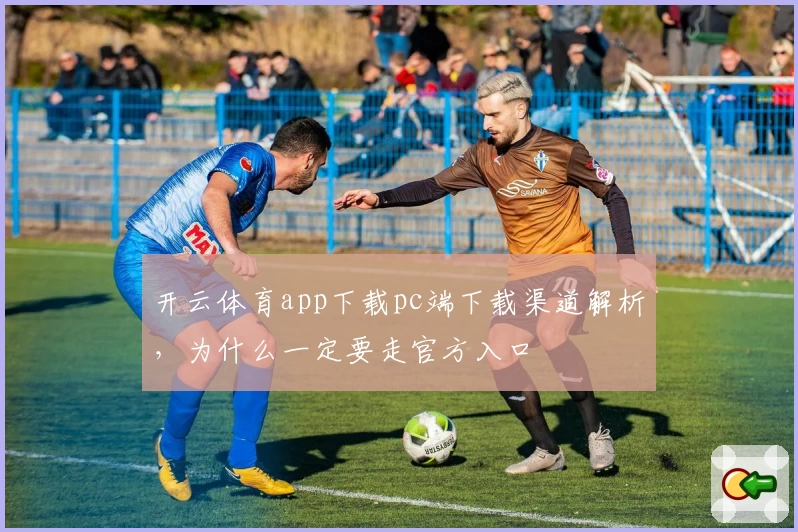 开云体育app下载pc端下载渠道解析，为什么一定要走官方入口
