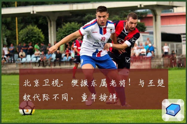 北京卫视：樊振东属老将！与王楚钦代际不同，童年榜样