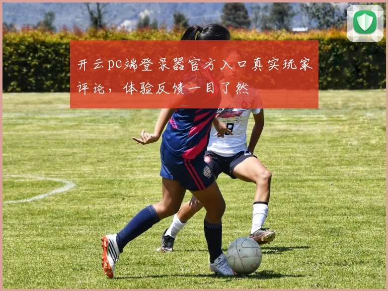 开云pc端登录器官方入口真实玩家评论，体验反馈一目了然