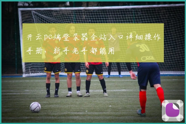开云pc端登录器全站入口详细操作手册，新手老手都能用