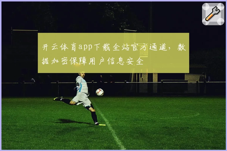 开云体育app下载全站官方通道，数据加密保障用户信息安全